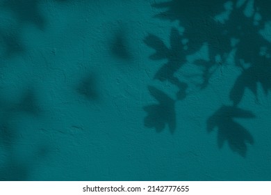 Shadow of leaves on turquoise green teal concrete wall texture with roughness and irregularities. Abstract nature concept background. Copy space for text overlay, poster mockup flat lay 