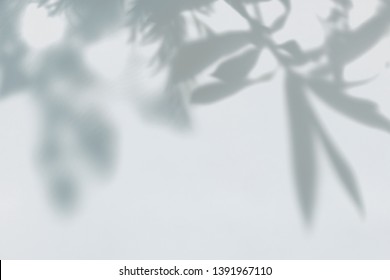 Shadow of leaves on a wall - Shutterstock ID 1391967110