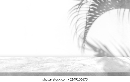 Shadow Leaves On White Wall Background And Floor Cement Perspective For Advertising Display Products And Text Presentation On Free Space Backdrop 