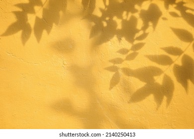 Shadow of leaves on yellow concrete wall texture with roughness and irregularities. Abstract trendy colored nature concept background. Copy space for text overlay, poster mockup flat lay  - Shutterstock ID 2140250413