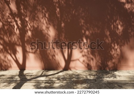The shadow of leaves, plants on the wall and sidewalk. Tree silhouettes. Street, outdoor, nature. Beige light brown. Background for design. 3d rendering. Space for product, object.Show,display,podium.