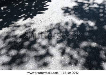 Similar – Image, Stock Photo Shadow of the Tree Summer