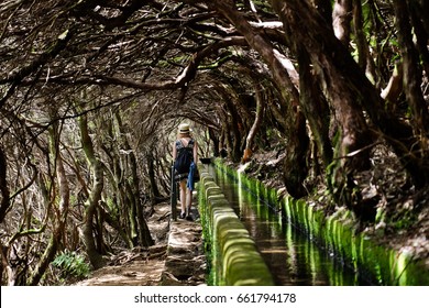 Shadow Levada Walks On Madeira