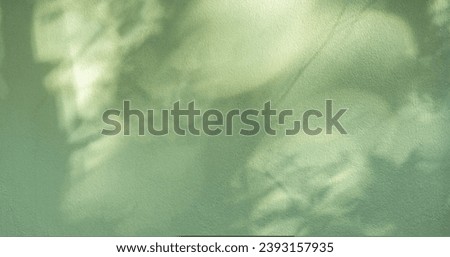 Shadow light blurred leaves overlay on green concrete wall room texture background well free space for text banner backdrop 