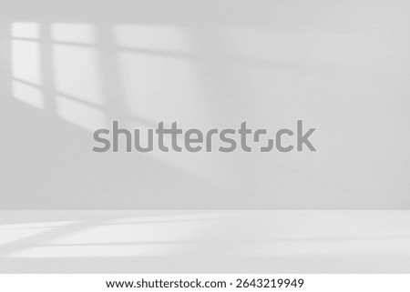 Shadow Light Window overlay Sunlight on Concrete Wall Interior background and Reflection floor perspective, Product display design backdrop background 