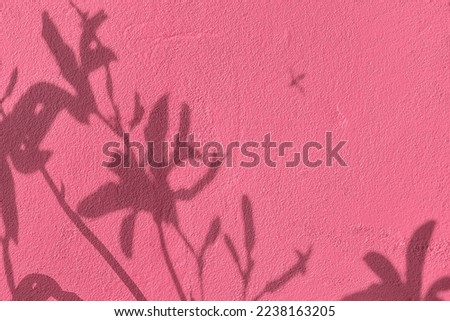Shadow of lily flowers on pink concrete wall texture with roughness and irregularities. Abstract trendy colored nature concept background. Copy space for text overlay, poster mockup flat lay 