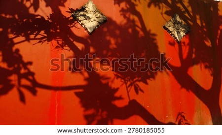 Shadow of mango tree branches cast on a red wall with natural sunlight creating artistic patterns and tropical atmosphere, perfect for nature and abstract background themes