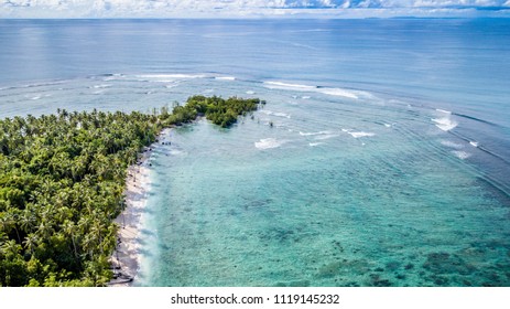 Shadow Mentawai, Mentawai Islands, Indonesia