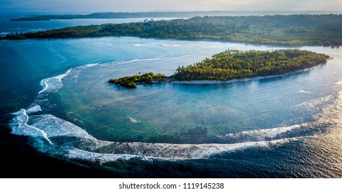 Shadow Mentawai, Mentawai Islands, Indonesia