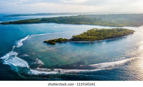 Shadow Mentawai, Mentawai Islands, Indonesia