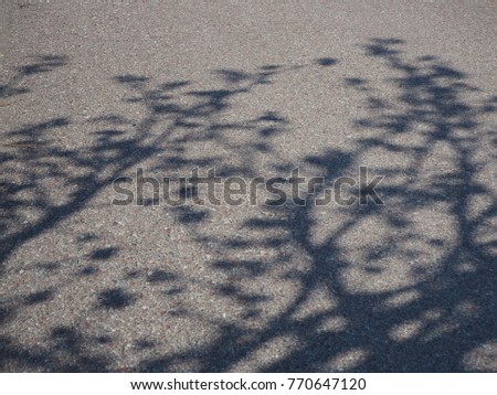 Image, Stock Photo Shadow of the Tree Summer