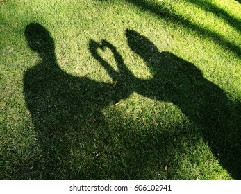 shadow on grass