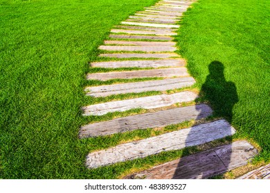 Shadow Over Pathway And Grass. Finding My Way, Wondering My Future. 