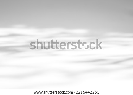 Shadow overlay effect on white background. Abstract sunlight background with organic shadows from plants, leaves, and branches.