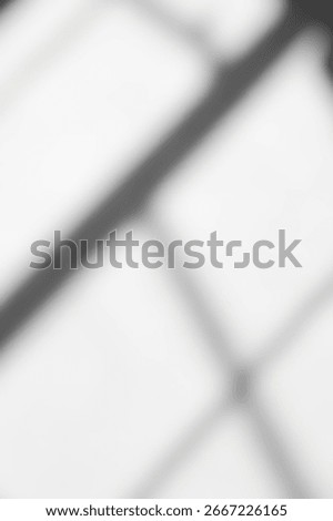 Shadow overlay from window frame on white wall background,Natural light layout of abstract effect shadows with light in grey shade,illustration elements designs for multiply on product