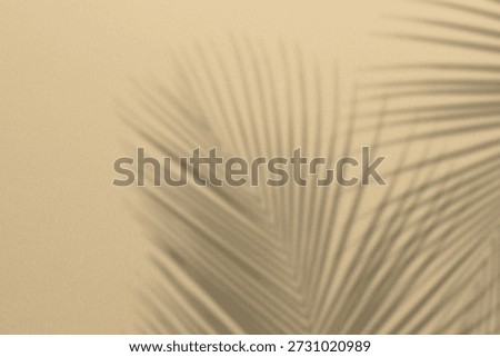 Shadow palm leaf summer background overlay beige color template mockup pastel minimal for presentation product cosmetic aesthetic beauty, poster backdrop artistic marketing, sunshine nature room.