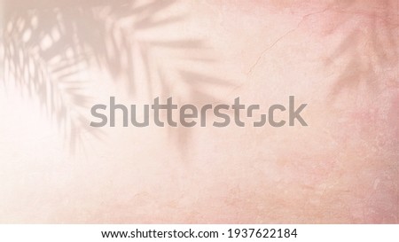 Shadow of palm leaves on pink wall with a beautiful plaster texture.