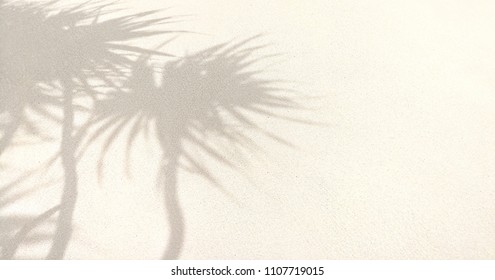 Shadow Of Palm Tree Leaves On White Sand Beach In Summer 