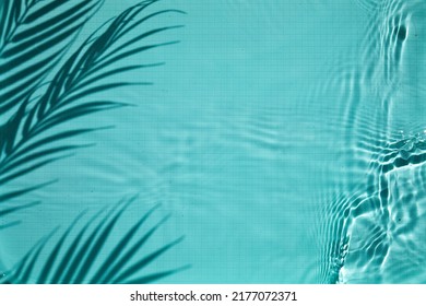 Shadow of a palm tree on a Blue water background - Powered by Shutterstock