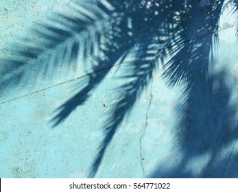 Shadow Of A Palm Tree On A Blue Background