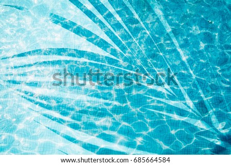 Shadow of a palm tree on a Blue background