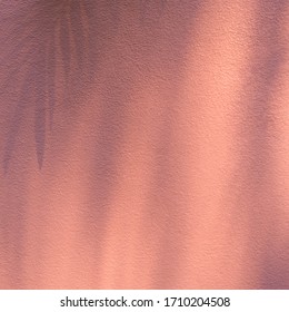 Shadow of palm tree on painted wall peach color