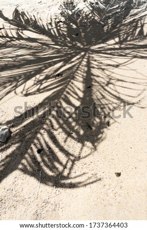 Similar – Spiekeroog l dry Beach