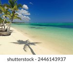 Shadow of palm tree on white sandy beach, Bavaro Beach, Punta Cana, Dominican Republic, West Indies, Caribbean, Central America