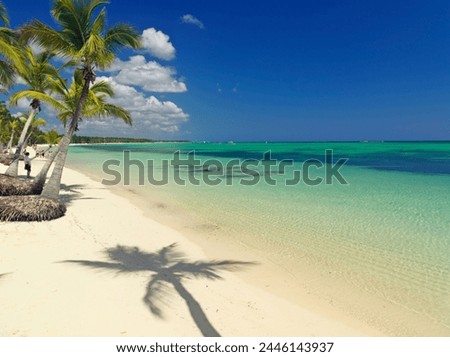 Shadow of palm tree on white sandy beach, Bavaro Beach, Punta Cana, Dominican Republic, West Indies, Caribbean, Central America