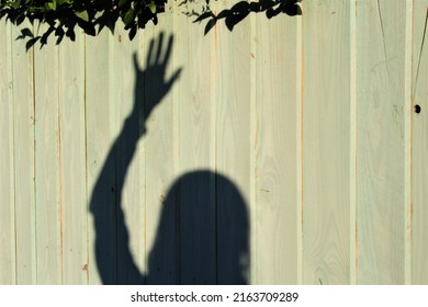 Shadow Of A Person Raising Their Hand Outside With Copy Space. Concept For Asking A Question, Protest, Raising A Hand, Reaching Out, Standing Up, Courage