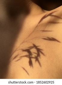 The shadow of the plant falls on the collarbone