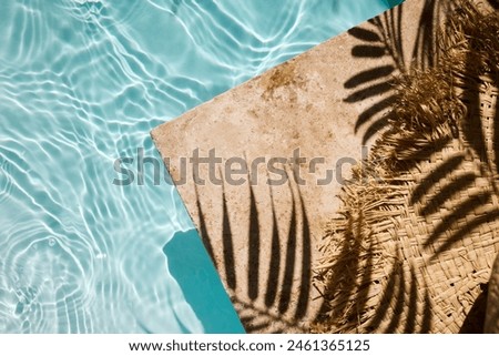 Similar – Image, Stock Photo Shadow play | palm tree and curtain on window