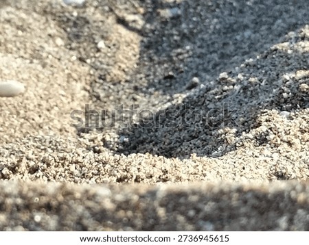 the shadow play of the sands