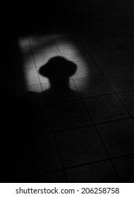 top hat shadow man