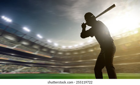 Shadow Of Professional Baseball Player In Action On Grand Arena