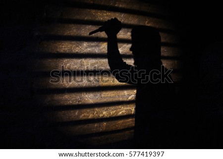 shadow protesters