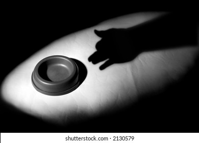 Shadow Puppet Dog Looking At An Empty Food Dish.