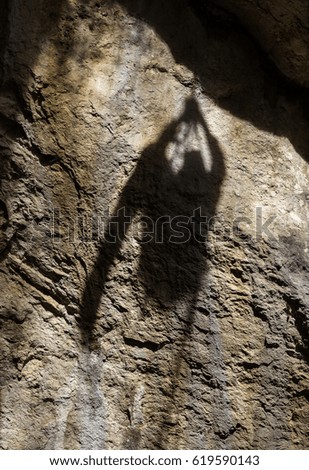 Similar – Foto Bild Mann läuft mit Taschenlampe