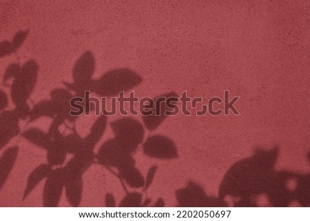 Shadow of rose leaves on blush pink concrete wall texture with roughness and irregularities. Abstract trendy colored nature concept background. Copy space for text overlay, poster mockup flat lay 