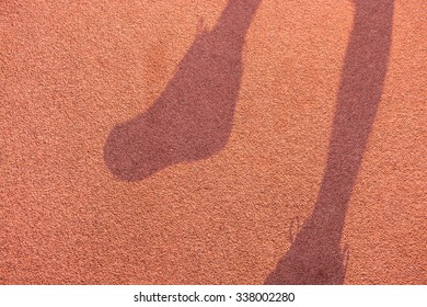 Shadow step