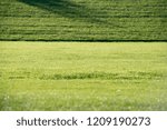 Shadow and sunlight on the Lawn, Green Grassfield