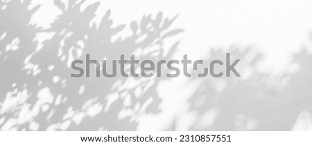 Shadow and sunshine of leaf reflection. Jungle leaves tree gray darkness shade and light on wall wallpaper, shadows overlay effect, mockup design. Grey tropical shadow foliage artistic background