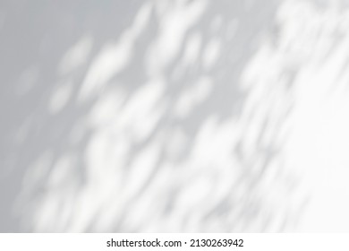 Shadow and sunshine of leaves reflection. Jungle gray darkness shade and lighting on concrete wall for wallpaper, shadows overlay effect, mockup design. Black and white artistic abstract background - Shutterstock ID 2130263942