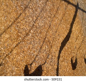 Shadow Of A Swingset In A Park