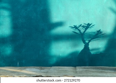 shadow of tree