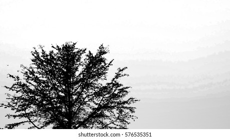 Similar Images, Stock Photos & Vectors of Fir tree on white textured
