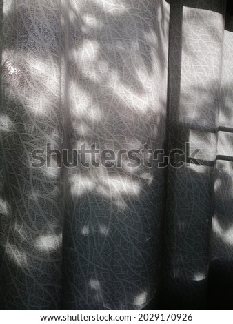 Windows​ shadow goodmorring​ goodday​ tree 