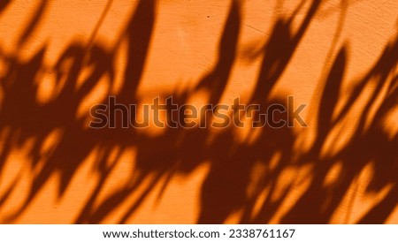 A shadow of a tree attached to the wall.