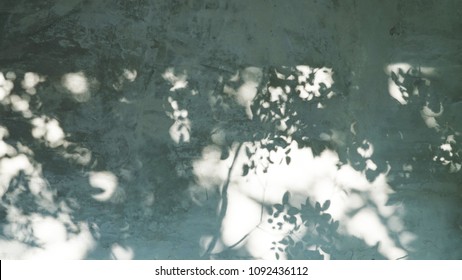 Shadow Of Tree Leave On The Grunge Wall Background