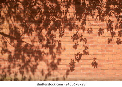 Shadow of tree leaves on a red brick wall in sunlight in the UK - Powered by Shutterstock